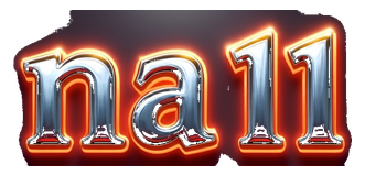 na 11 logo